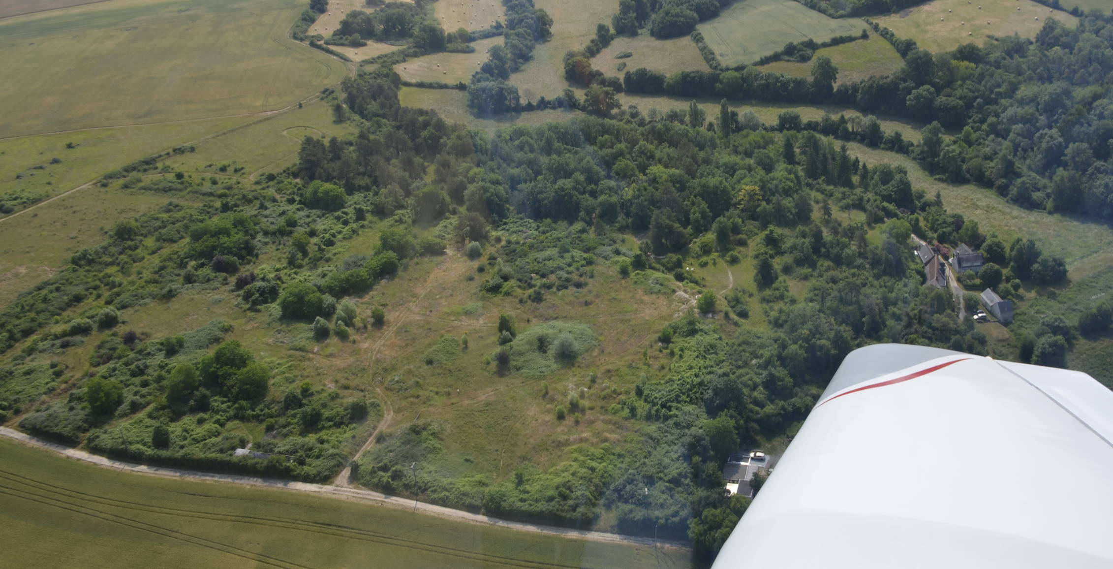 Champs Perroux (ouest) le 9 juin 2025.