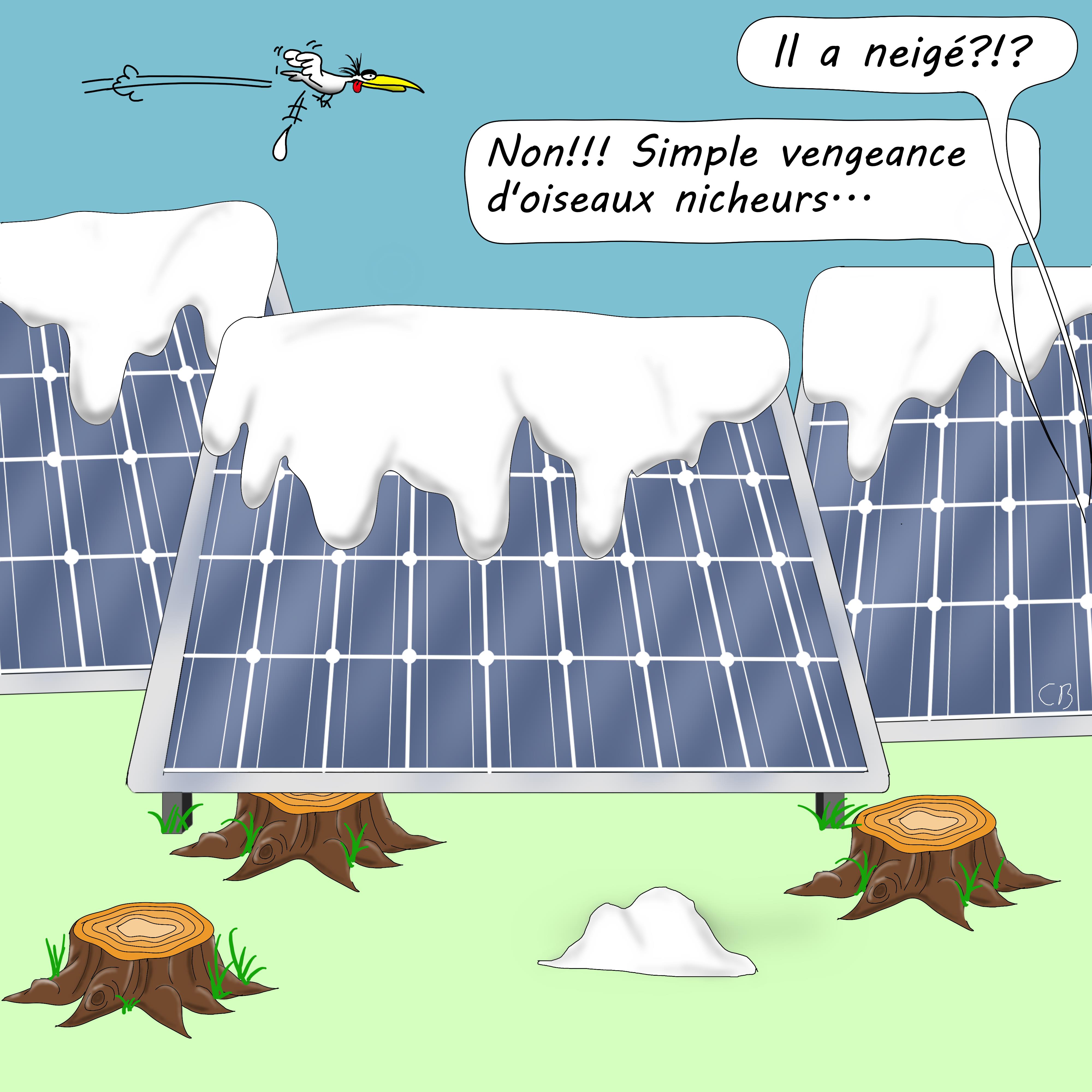 biodiversité vs photovoltaïsme
