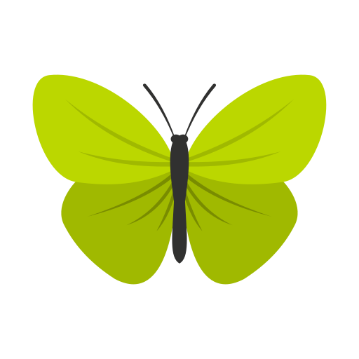 Inventaire Papillons